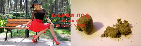 ПСИЛОЦИБИНОВЫЕ ГРИБЫ Алзамай