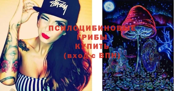 ПСИЛОЦИБИНОВЫЕ ГРИБЫ Алзамай