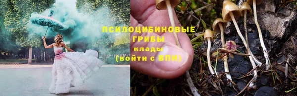ешки Магас