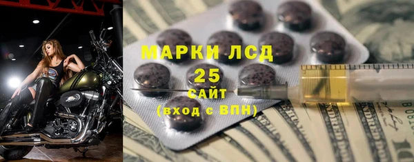 ПСИЛОЦИБИНОВЫЕ ГРИБЫ Алзамай