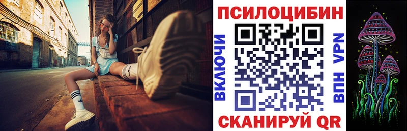 где купить наркотик  OMG сайт  Галлюциногенные грибы мицелий  Сельцо 